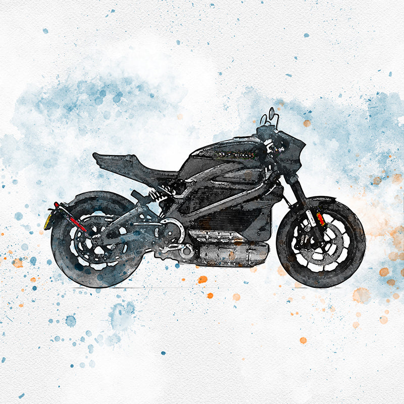 Harley Davidson Live Wire One Models