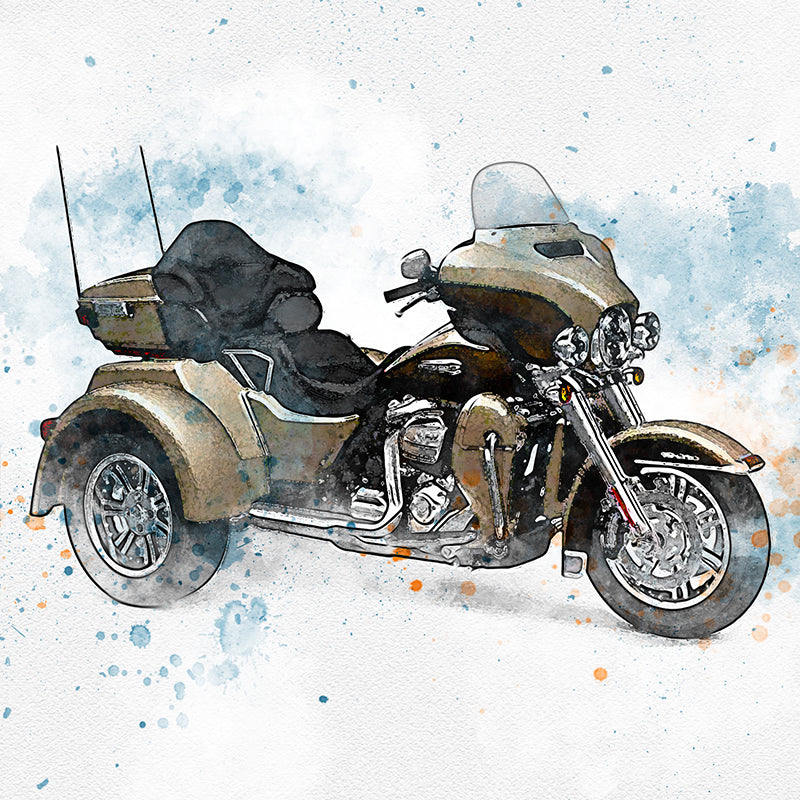 Harley Davidson Trike